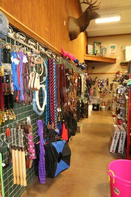 collars, leashes, and horse tack