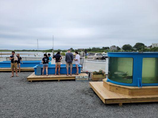 Block Island Maritime Institute