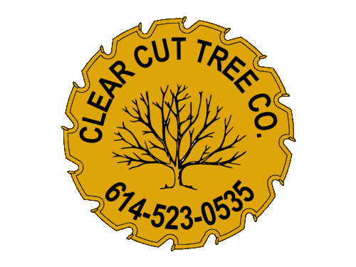 Clear Cut Tree Company