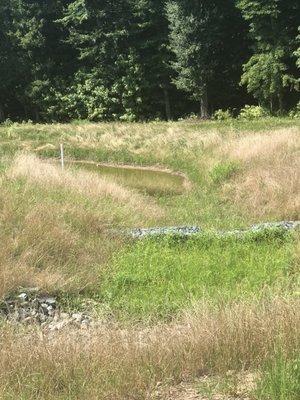 Another view of the 2nd bio-retention area