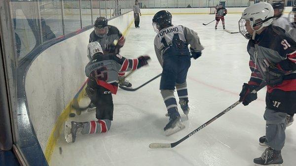 Twin Rinks Ice Pavilion