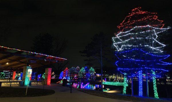 The holiday lights are still up! Definitely worth a visit while they last.