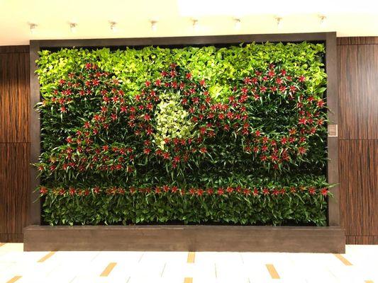 Green Living Wall