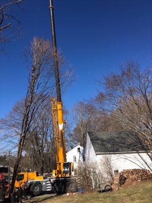 Rustys Tree Service