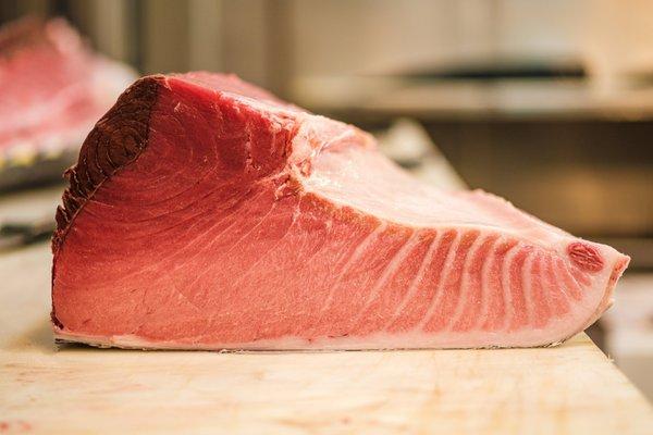 We are specialists of tuna. Photo is of a belly portion of a Spanish Blue Fin