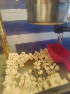 Free popcorn