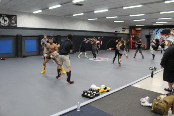 Main mat at KCS, 2,300 square feet.