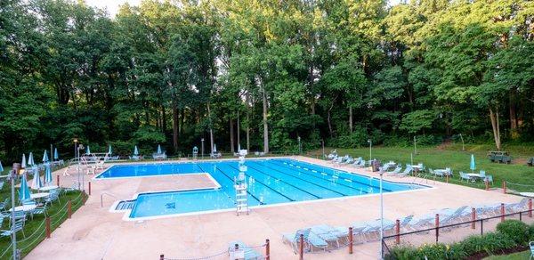 Main Pool surrounded by trees.