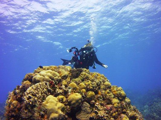 PADI Open Water Course - Learn How to Dive