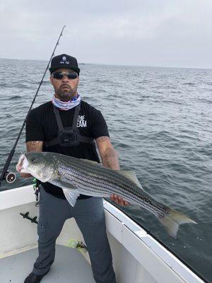 Striped Bass caught with a buck tail lure I got from Toms Bait.