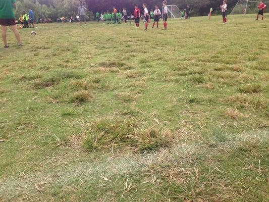 The soccer fields are in bad shape.