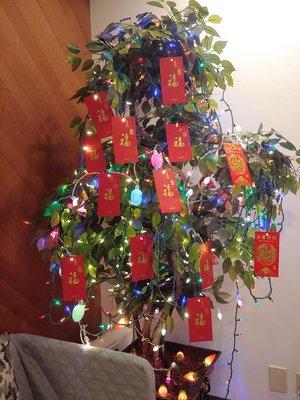 Lucky 2020 tree with red envelope for the patients