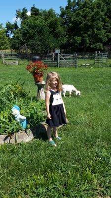 The Garden On Long Hollow Pike