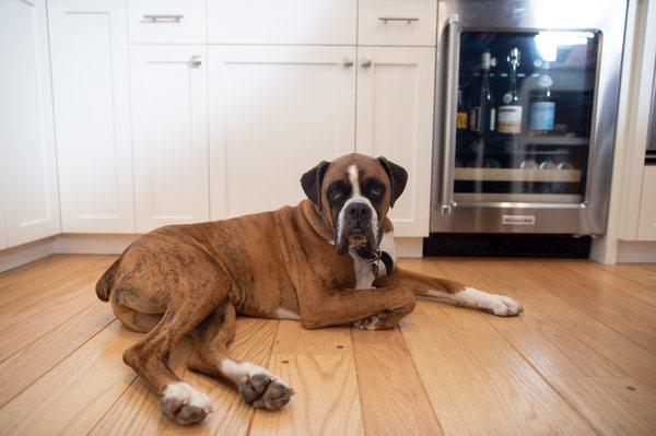 Cody loves his kitchen!