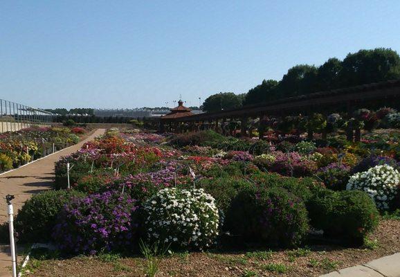 Metrolina Greenhouses