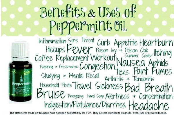 Peppermint Essential Oil