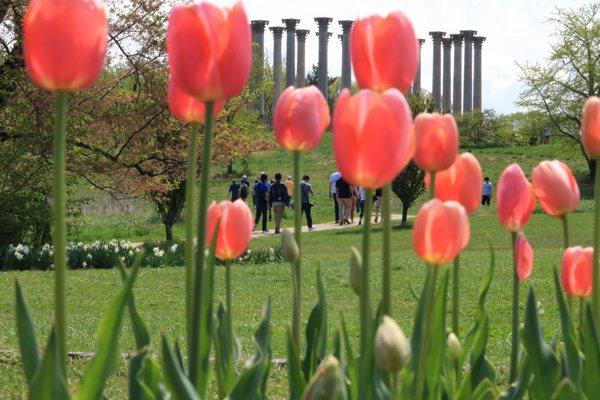 The National Arboretum is known for its gardens and the historic Capitol Columns.