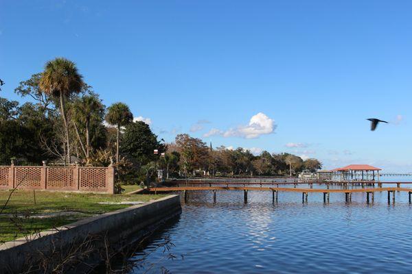 The beautiful St. John's river.