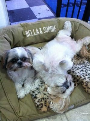 BELLA & SOPHIE LOVE ALL OUR CUSTOMERS