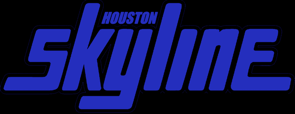 Houston Skyline Volleyball