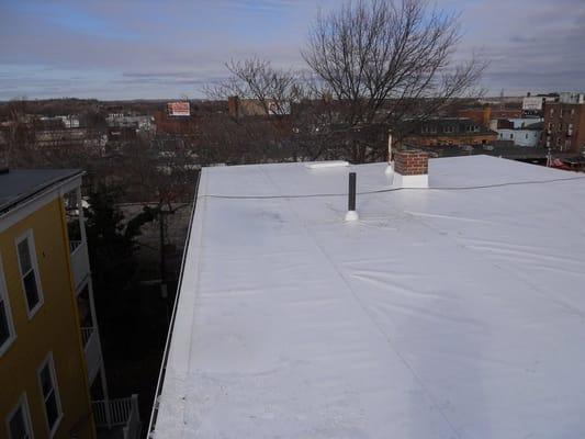 tpo roof