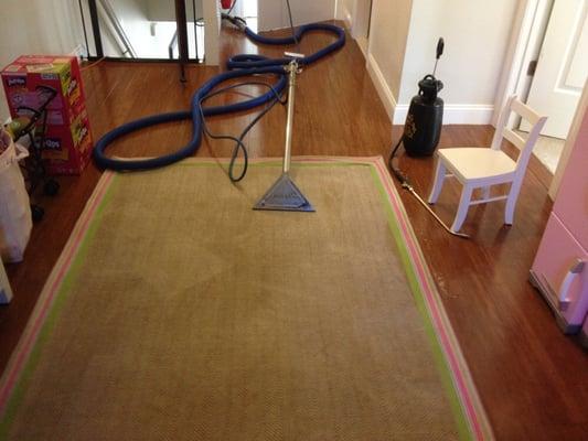 Area rug cleaning