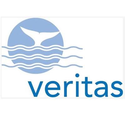 Veritas Insurance Group