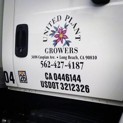 Fleet graphics / print & cut vinyl decals