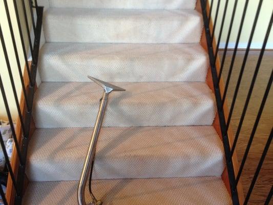 Easy Clean Carpet & Upholstery Cleaning