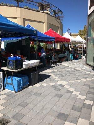 Corte Madera Town Center Farmers' Market