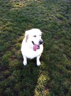 Diamond Dog Running's very happy partner!