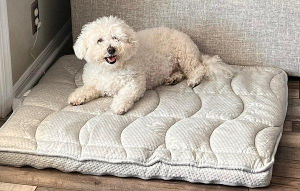 Grounding mattress for our love pets! Helps to heal and rejuvenate your pets!