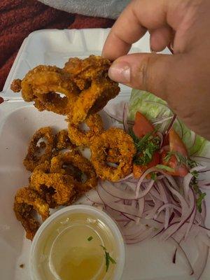 Fried Calamari