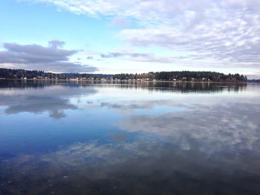 View from Dockton Park