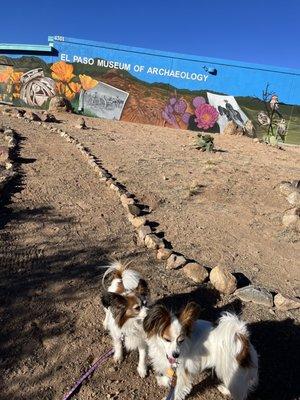 Walking outside of the museum