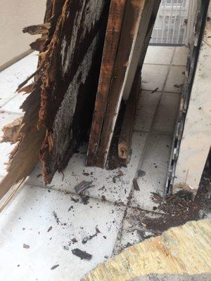 Termites and mold rented from Donald Sterling