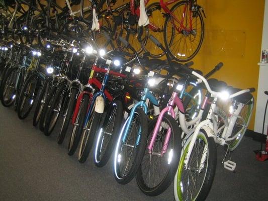 Huge selection of high end bicycles