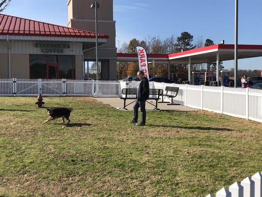 Dog Park at Davis Gas Station