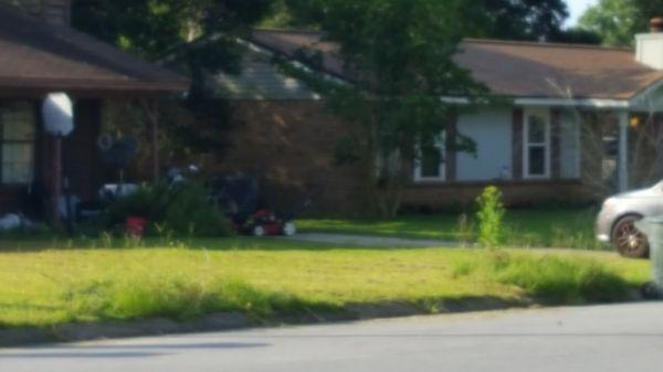 Hurricane debris left at curb and mowed around with weeds growing up to 3 feet tall.  Poor property maintenance by Donovan Realty.