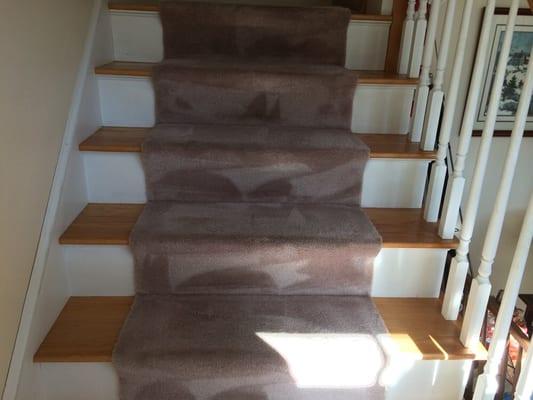 Carpet cleaning a staircase