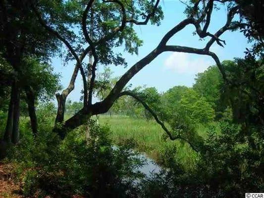 Great place to build your 'dream home' overlooking the mighty Waccamaw River. Small riverfront community with dock on the riv...