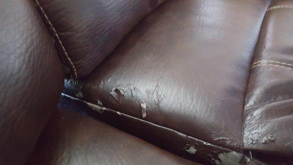 Couch is peeling all over!  This is one image of many I can show you.