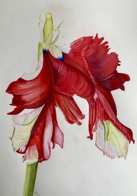 Colored pencils by Val T