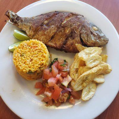 Pescado frito. Pan fried fish