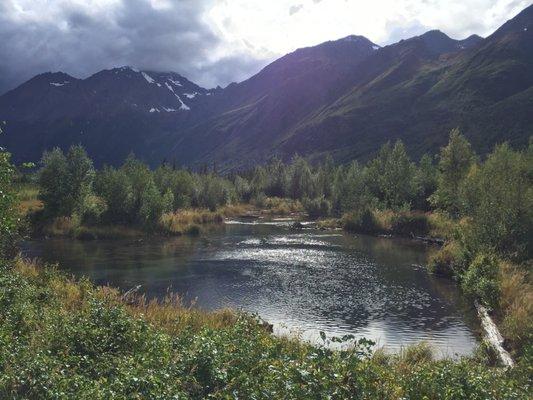 Marsh on the Eagle River