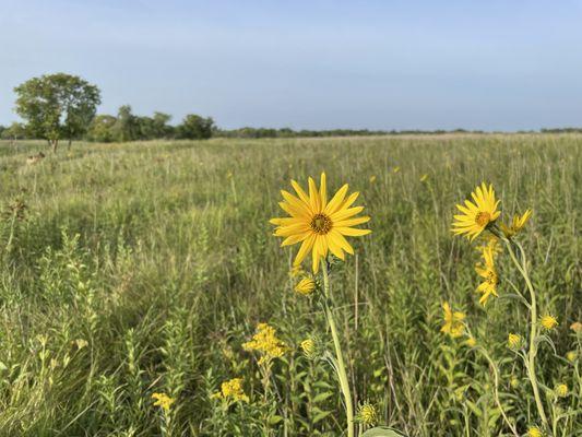 Prairie hike