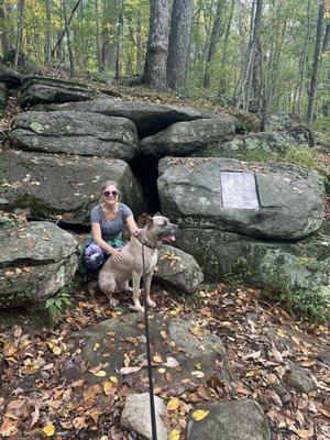 Dog was unimpressed by k9 housing here in Connecticut.