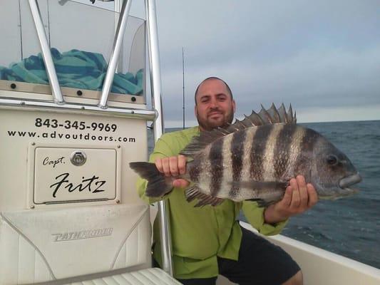 Nice springtime Sheepshead caught with Captain Fritz of Adventure Outdoors Charters