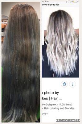 on the right was what my hair was supposed to look like on the left was what I got a blue and green mess. Done by Nicole