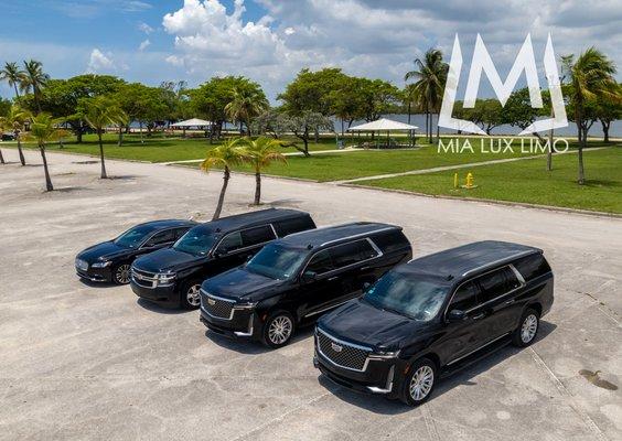 Luxury Limo Whit Chauffer